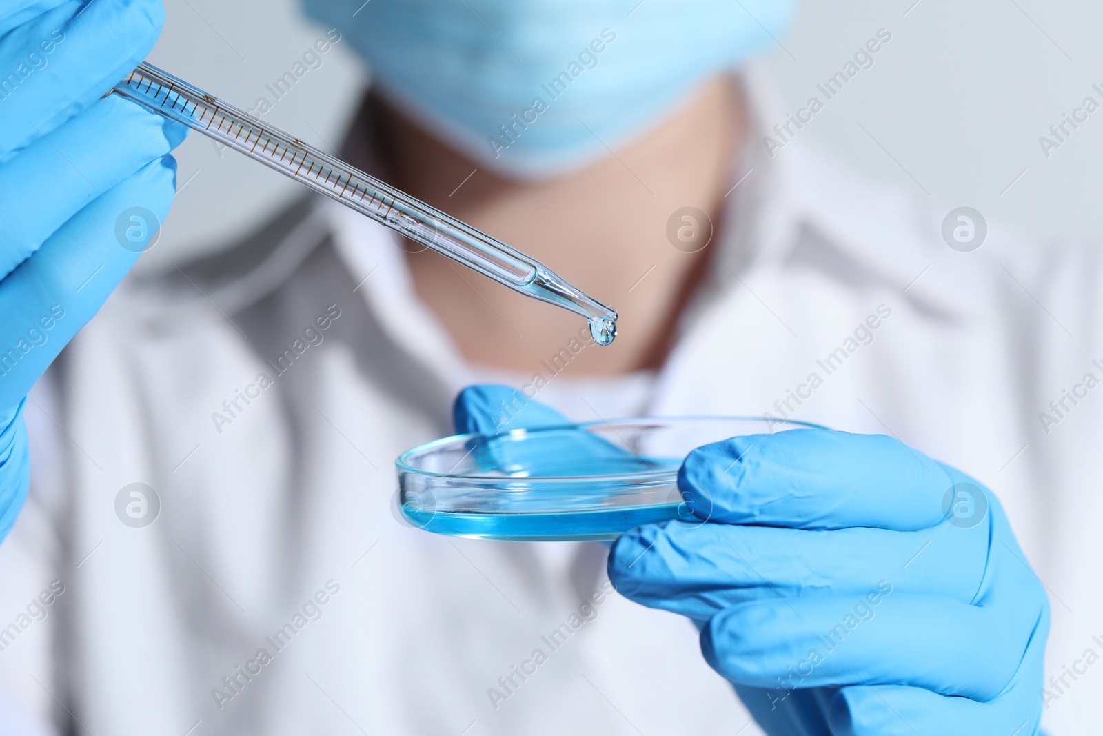 Photo of Scientist dripping liquid from pipette into petri dish, closeup