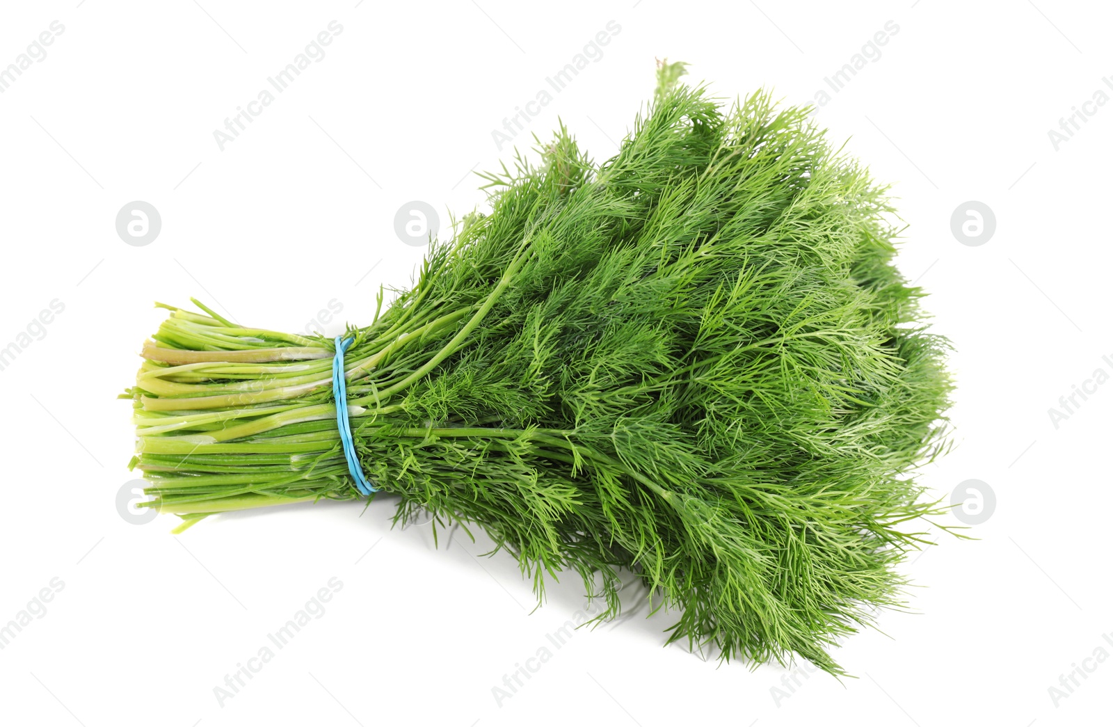 Photo of Bunch of fresh green dill isolated on white