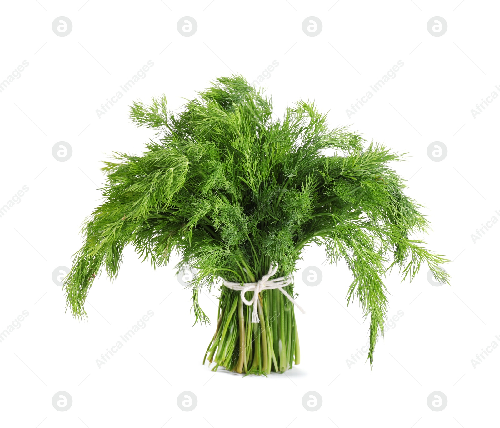 Photo of Bunch of fresh green dill isolated on white