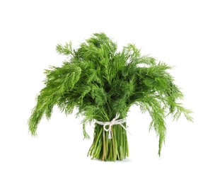 Photo of Bunch of fresh green dill isolated on white