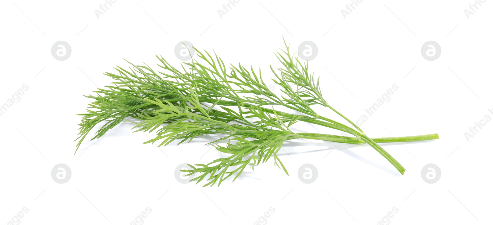 Photo of Sprigs of fresh green dill isolated on white