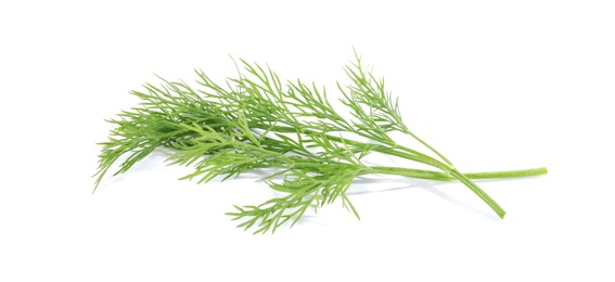 Photo of Sprigs of fresh green dill isolated on white