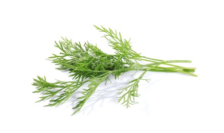 Photo of Sprigs of fresh green dill isolated on white