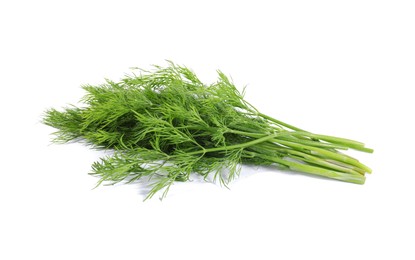 Sprigs of fresh green dill isolated on white