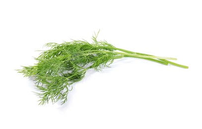 Photo of Sprigs of fresh green dill isolated on white