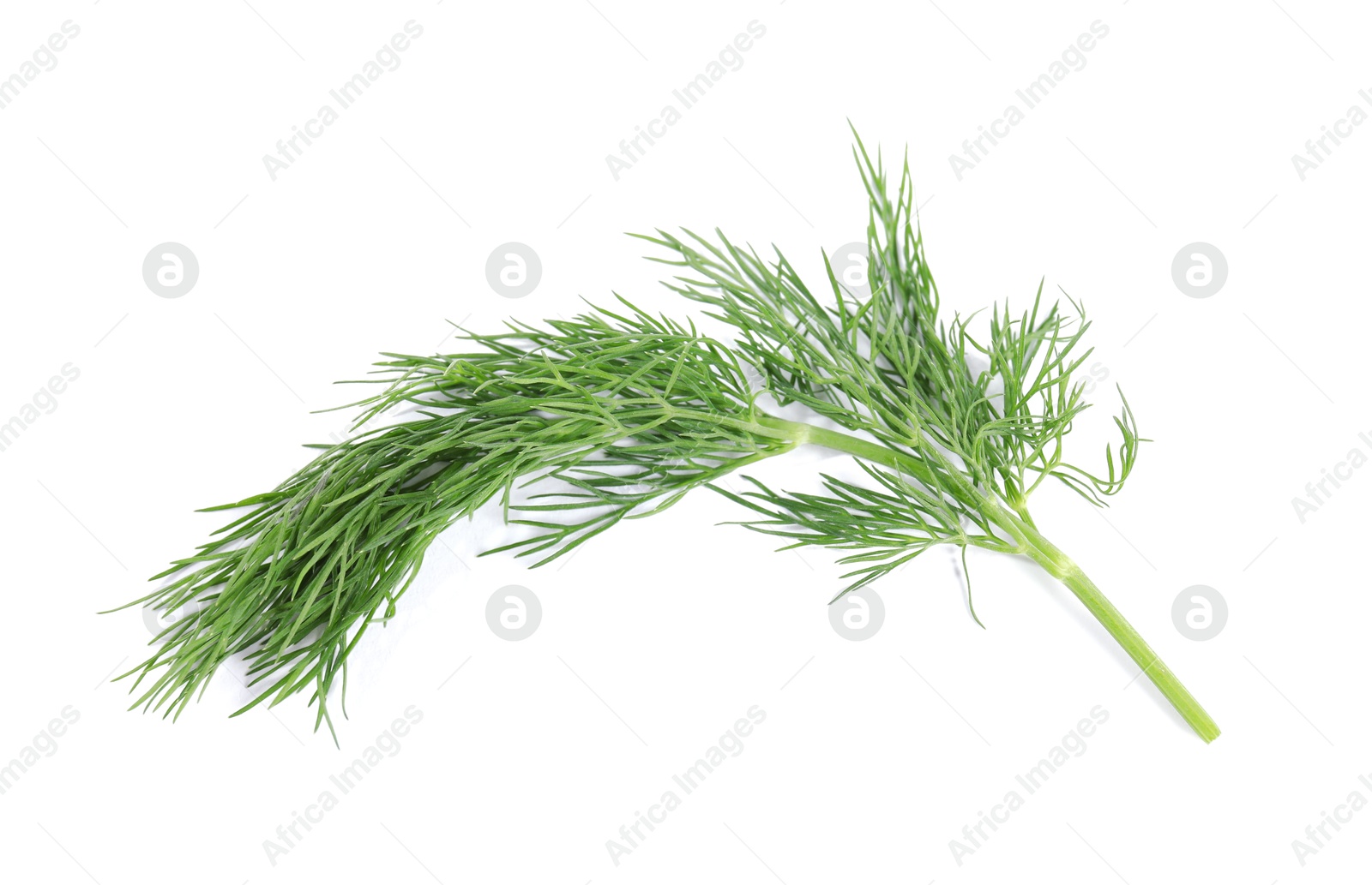 Photo of Sprig of fresh green dill isolated on white, top view