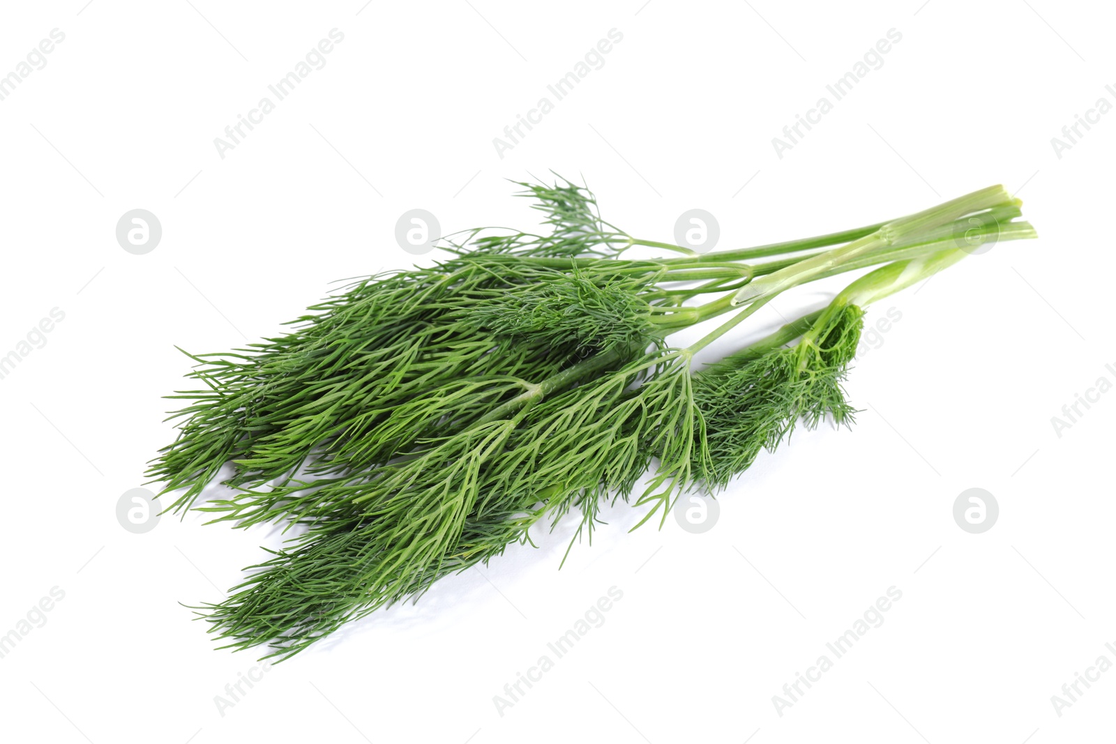 Photo of Sprigs of fresh green dill isolated on white