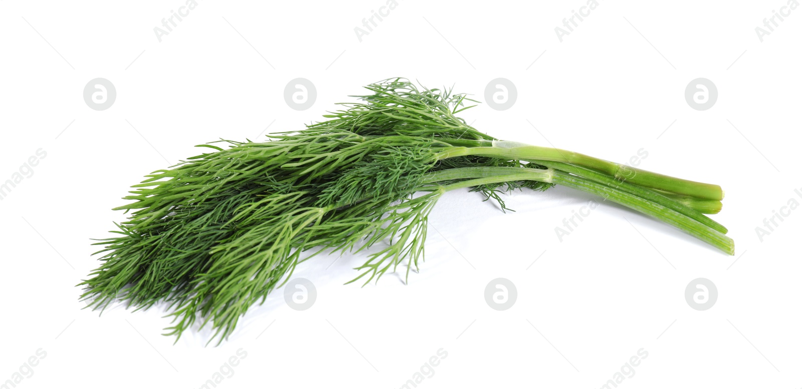 Photo of Sprigs of fresh green dill isolated on white