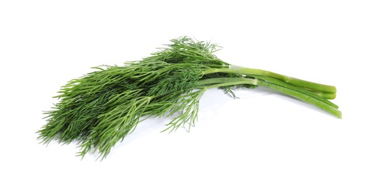 Sprigs of fresh green dill isolated on white