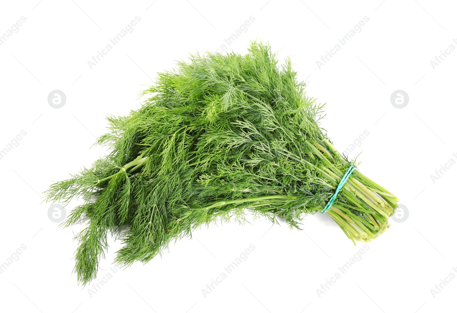 Photo of Bunch of fresh green dill isolated on white, top view