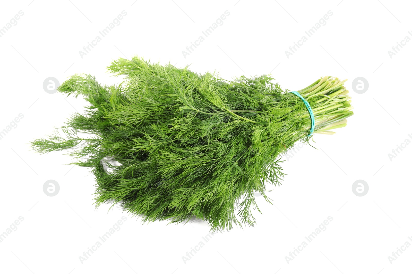 Photo of Bunch of fresh green dill isolated on white