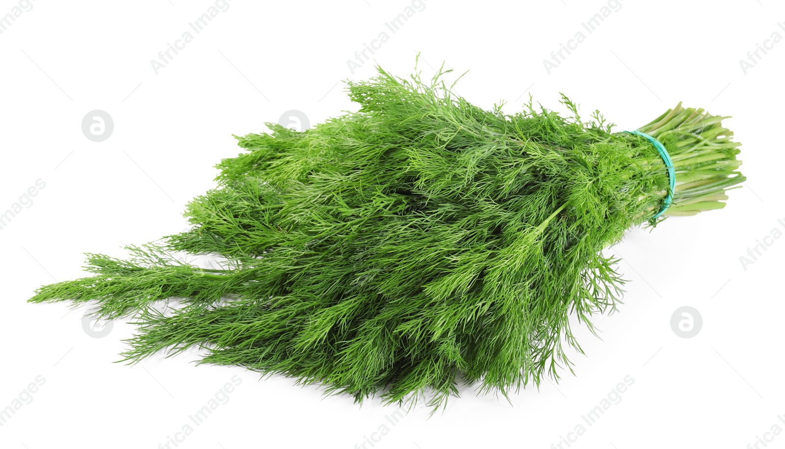 Photo of Bunch of fresh green dill isolated on white