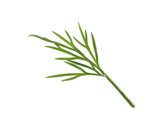 Photo of Sprig of fresh green dill isolated on white