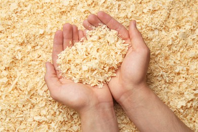 Photo of Woman holding dry natural sawdust, top view