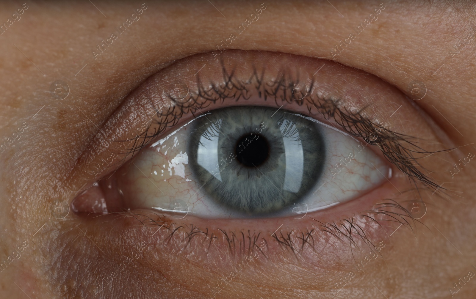 Photo of Woman with beautiful blue eyes, macro photo