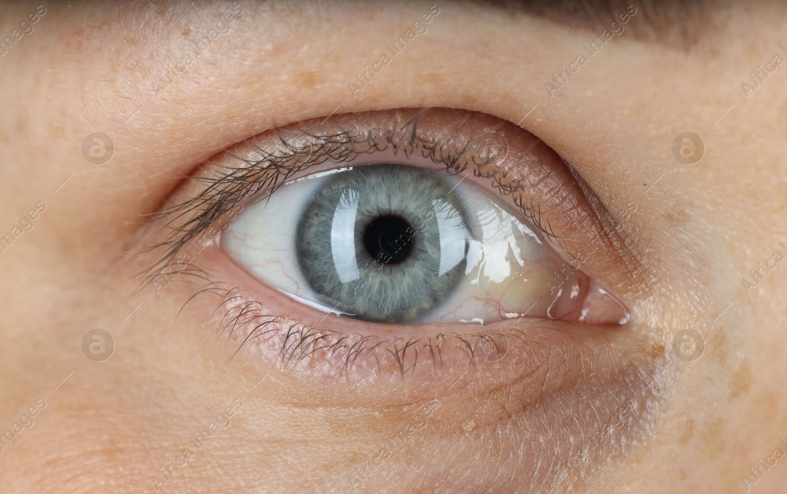 Photo of Woman with beautiful blue eyes, macro photo