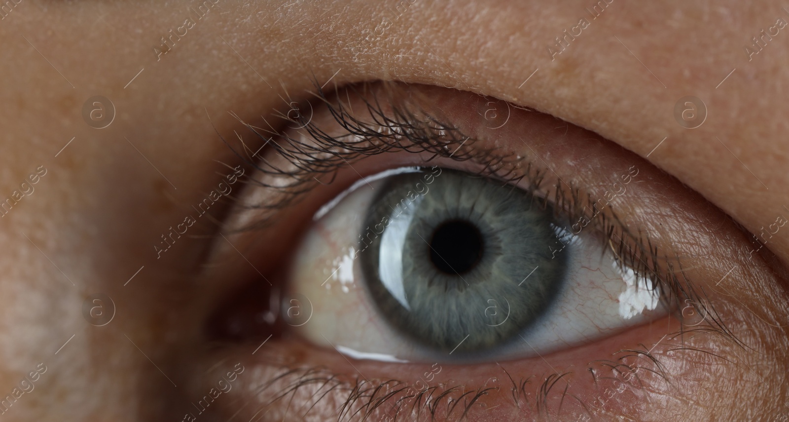 Photo of Woman with beautiful blue eyes, macro photo