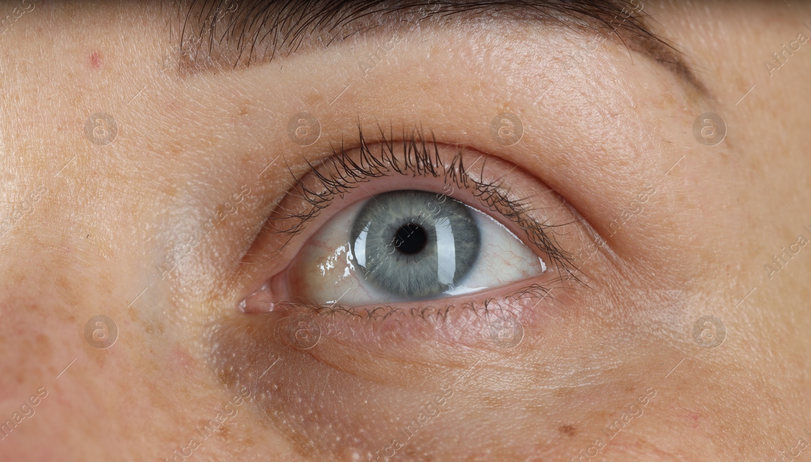 Photo of Woman with beautiful blue eyes, macro photo