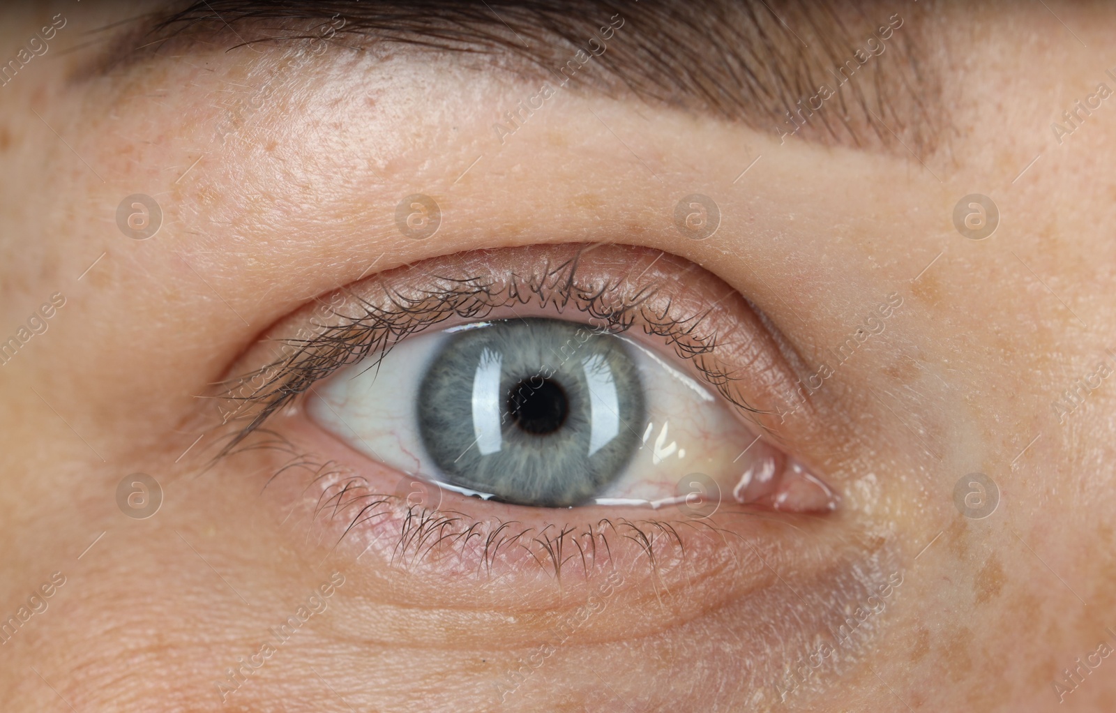 Photo of Woman with beautiful blue eyes, macro photo