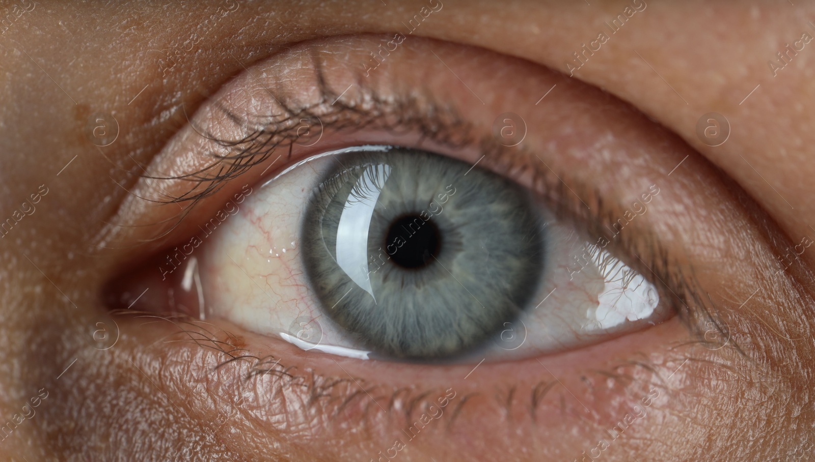 Photo of Woman with beautiful blue eyes, macro photo