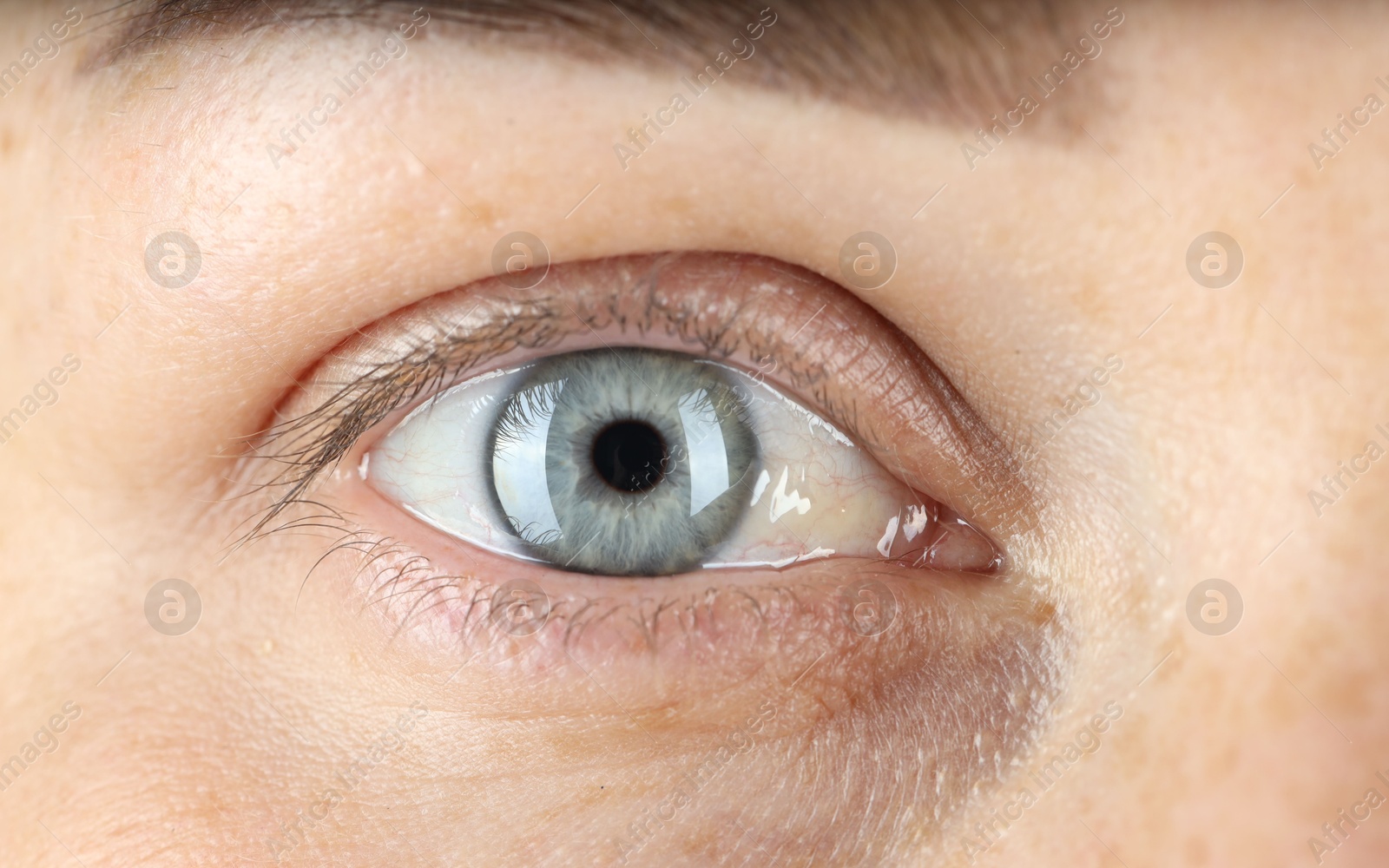 Photo of Woman with beautiful blue eyes, macro photo