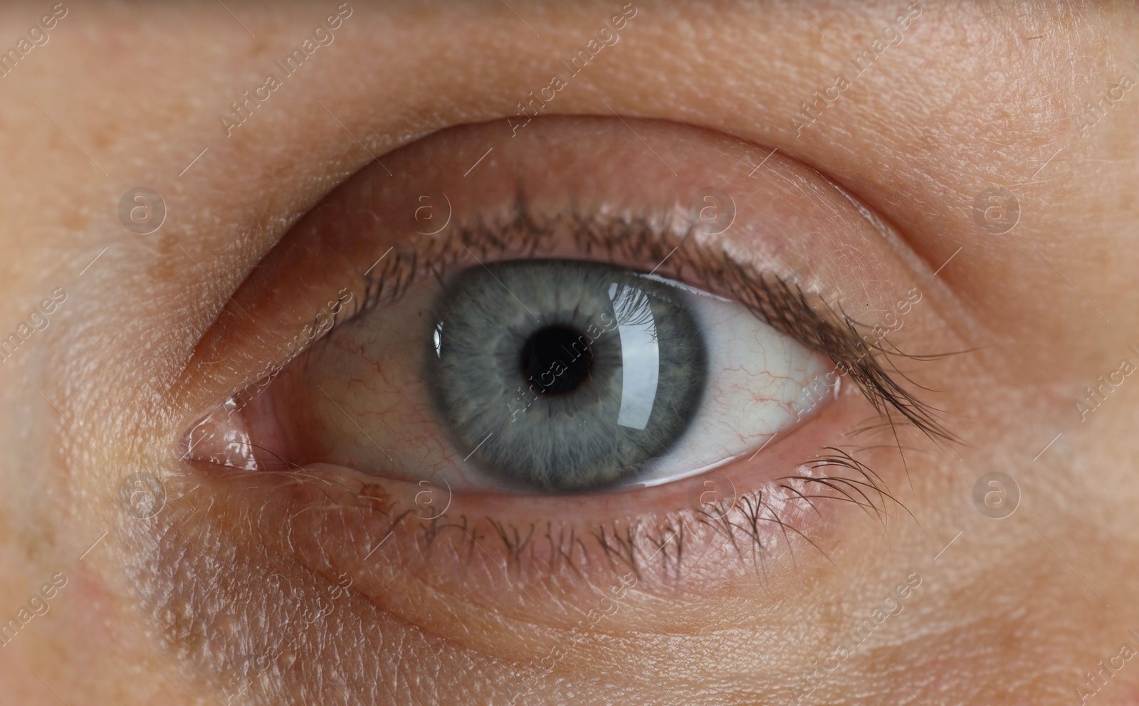 Photo of Woman with beautiful blue eyes, macro photo