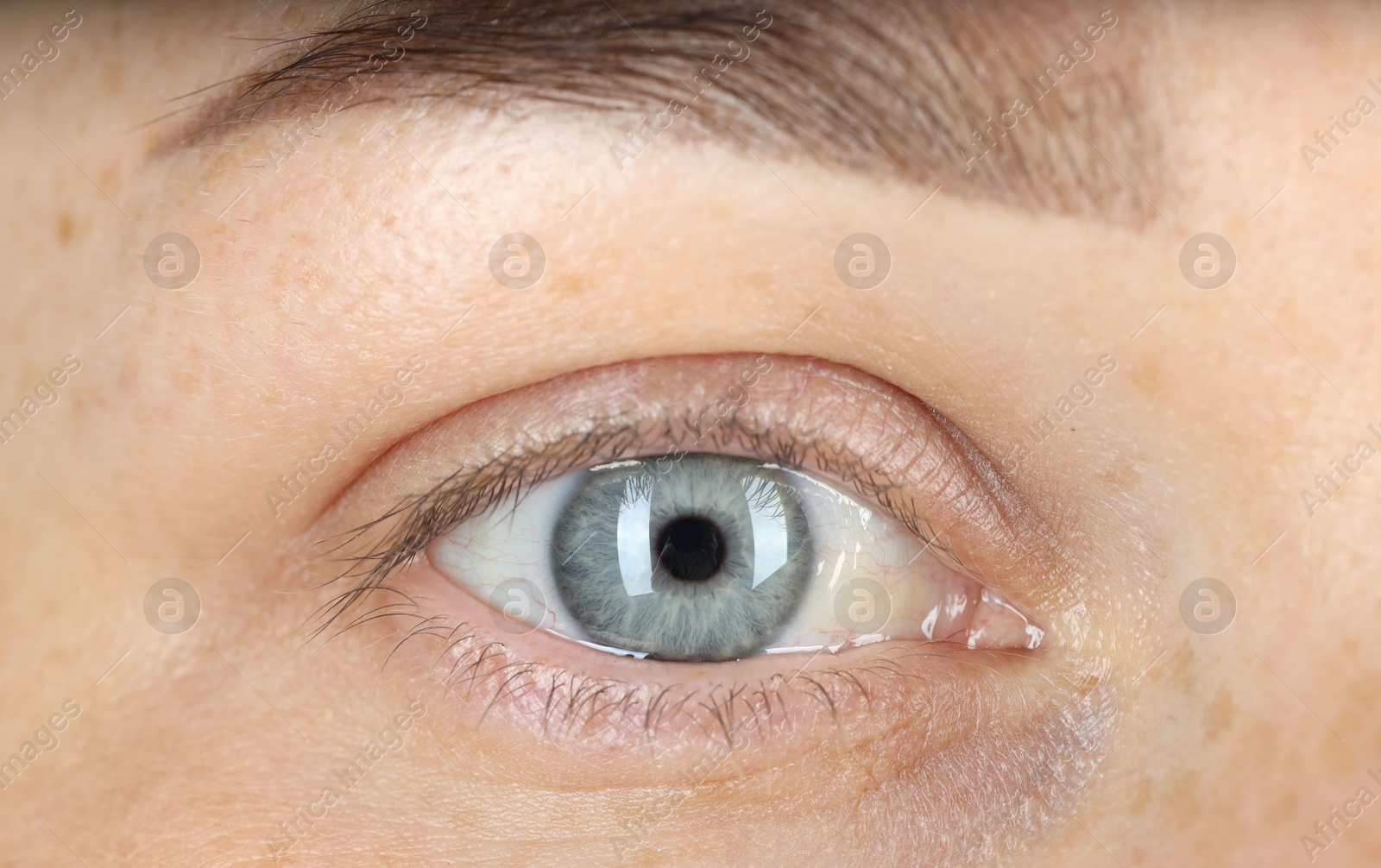 Photo of Woman with beautiful blue eyes, macro photo