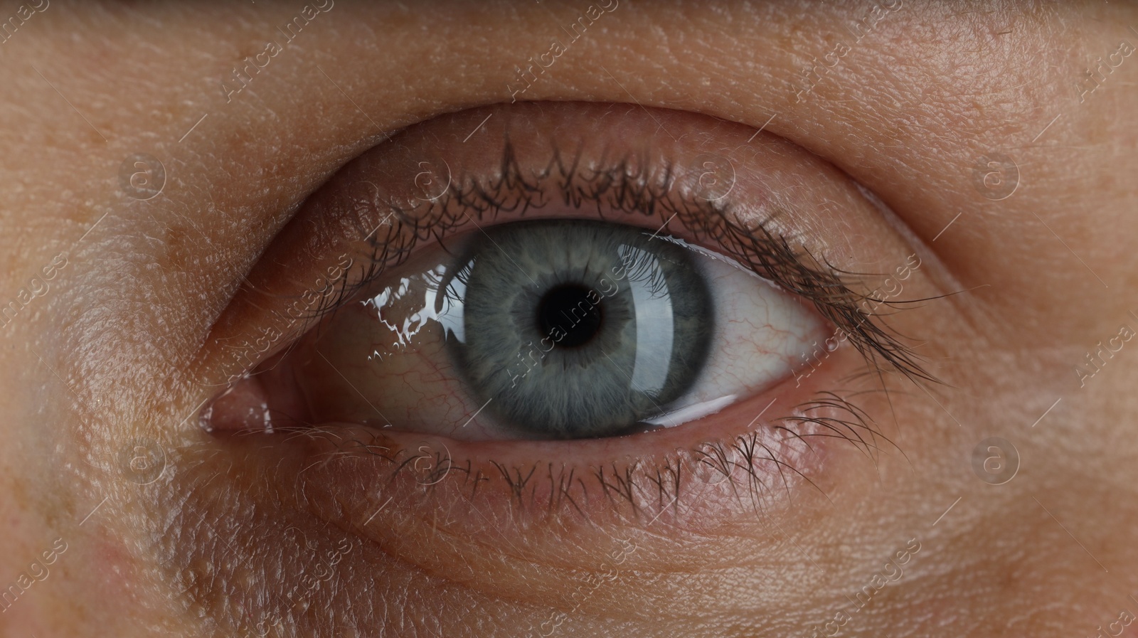 Photo of Woman with beautiful blue eyes, macro photo