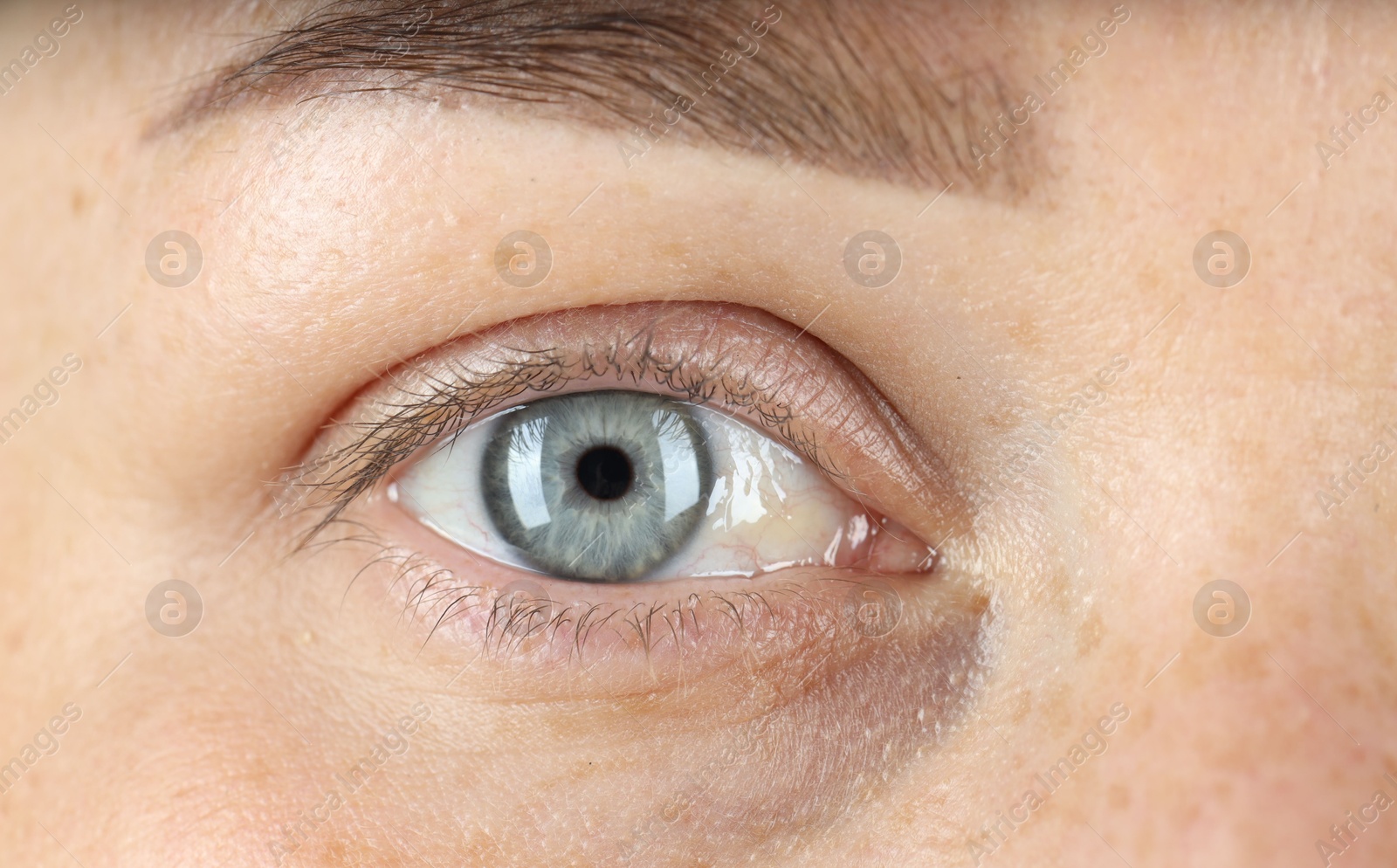 Photo of Woman with beautiful blue eyes, macro photo