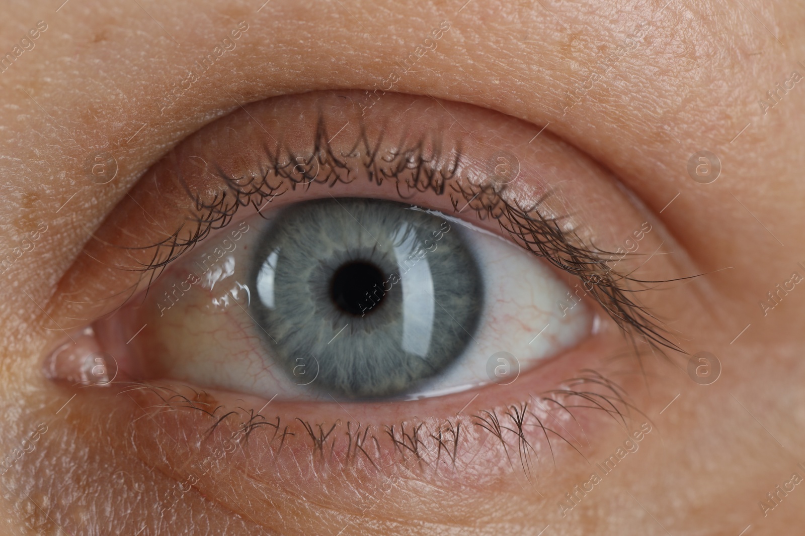 Photo of Woman with beautiful blue eyes, macro photo