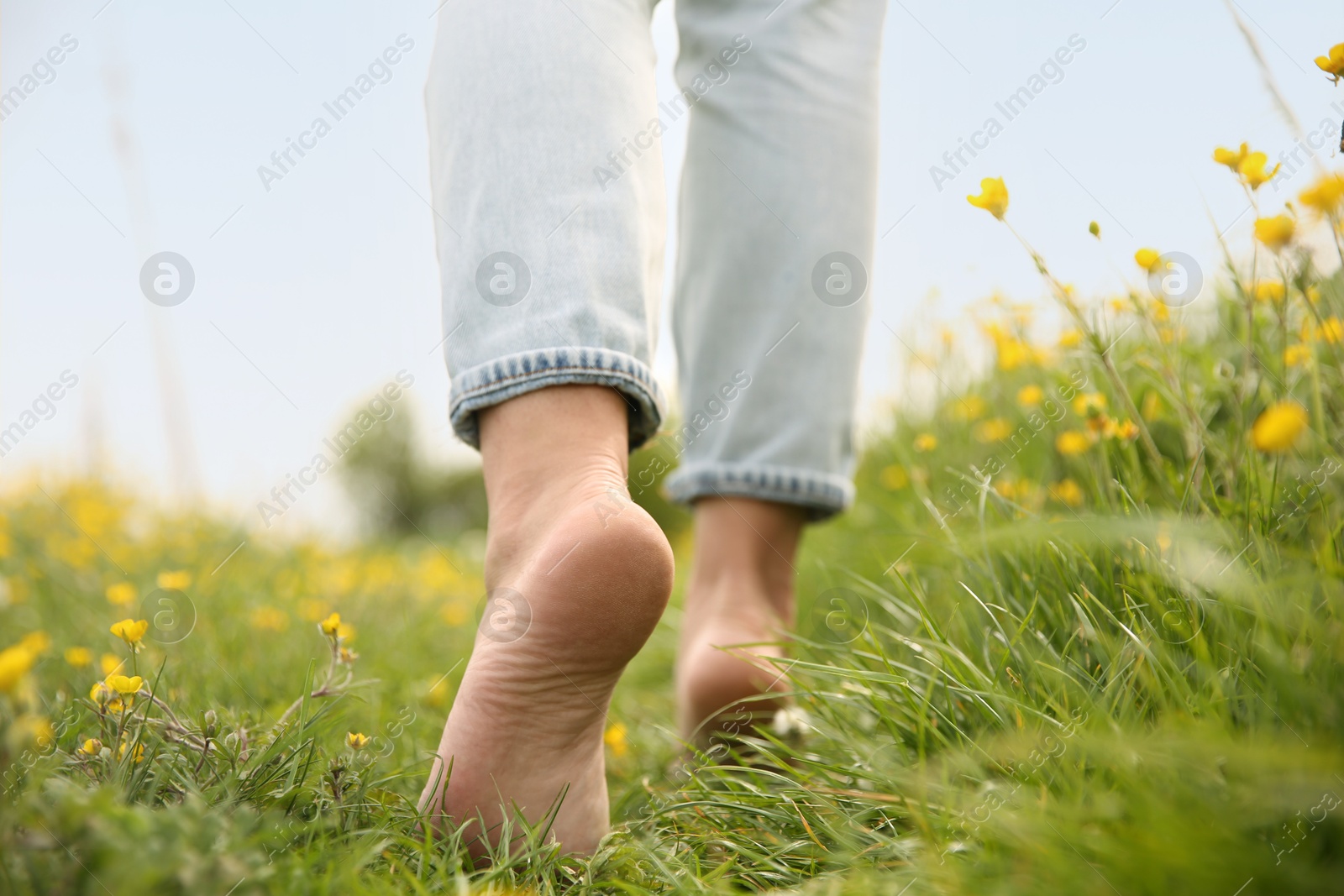 Photo of Woman walking barefoot on green grass outdoors, closeup