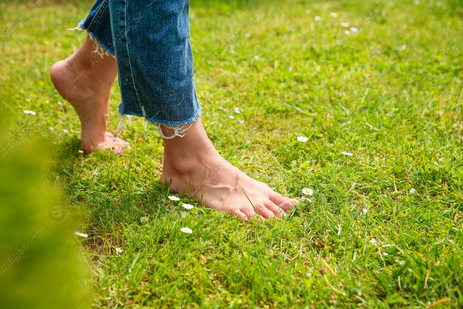 Photo of Woman walking barefoot on green grass outdoors, closeup