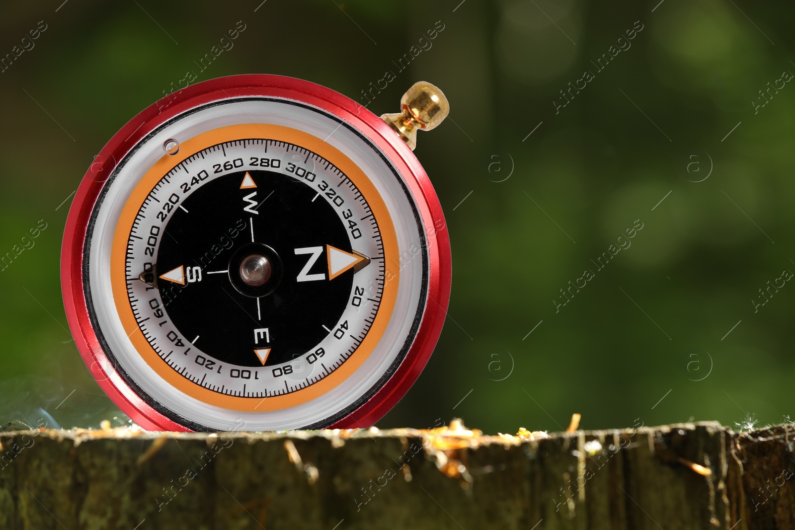 Image of Navigational instrument. Compass outdoors, closeup. Space for text