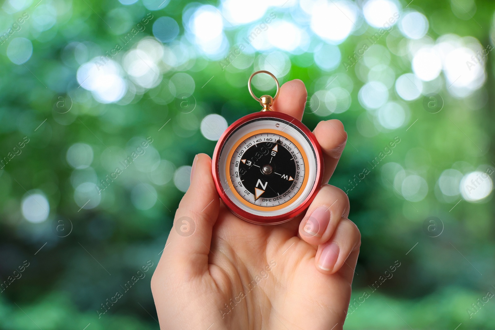 Image of Woman holding compass in forest, closeup. Navigational instrument