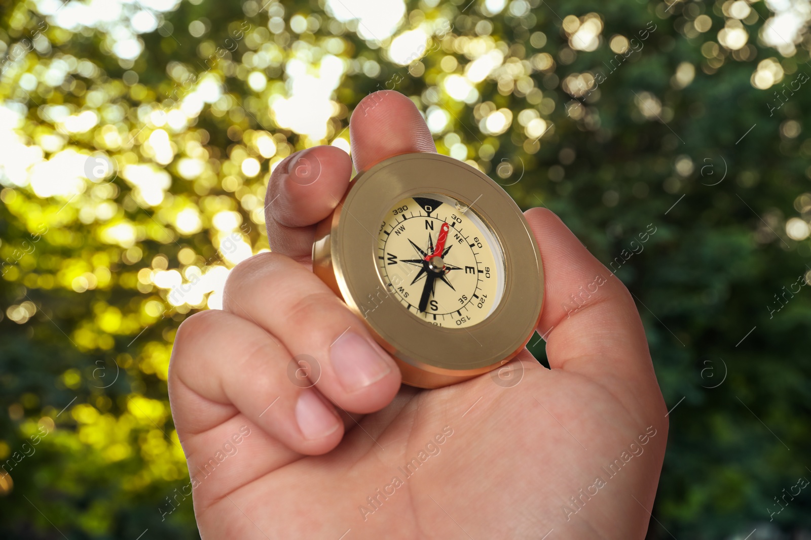 Image of Man holding compass in forest, closeup. Navigational instrument