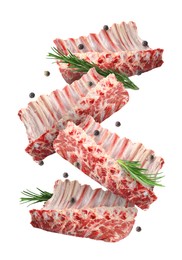 Image of Raw ribs, rosemary and peppercorns in air isolated on white