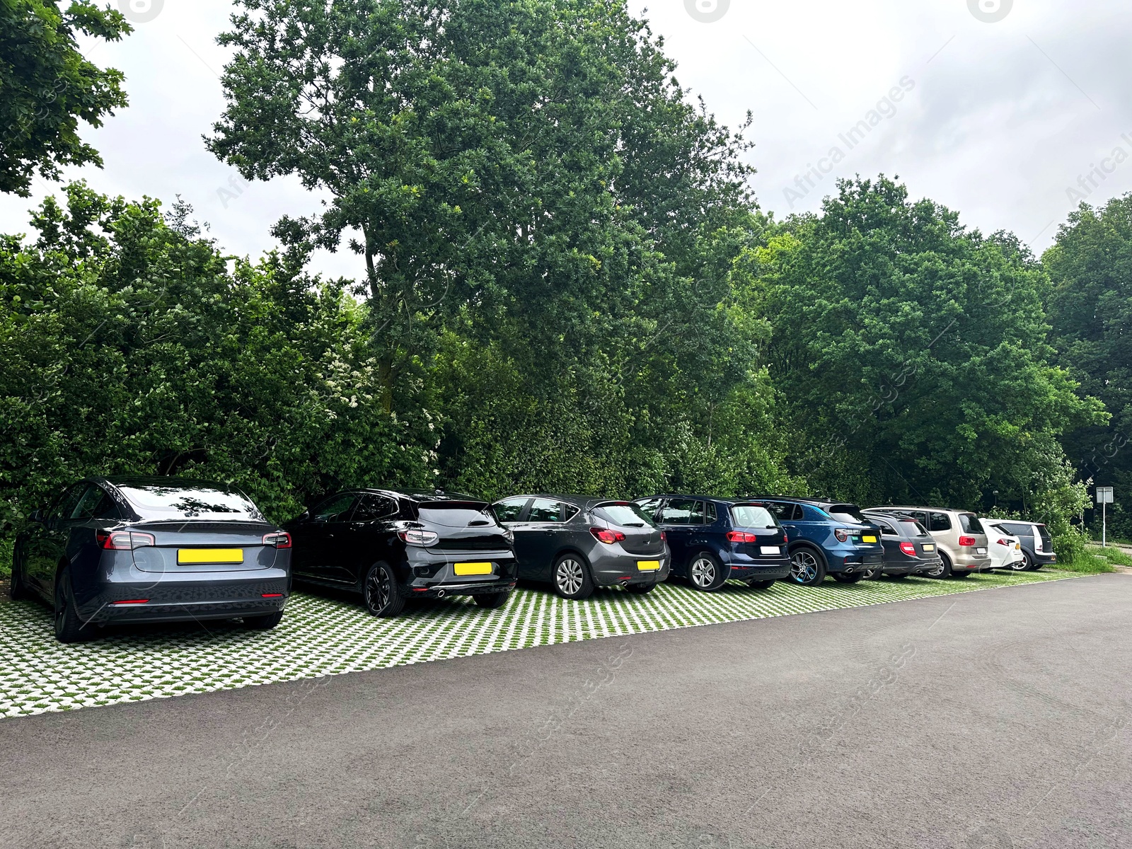 Photo of View of parked cars and trees outdoors