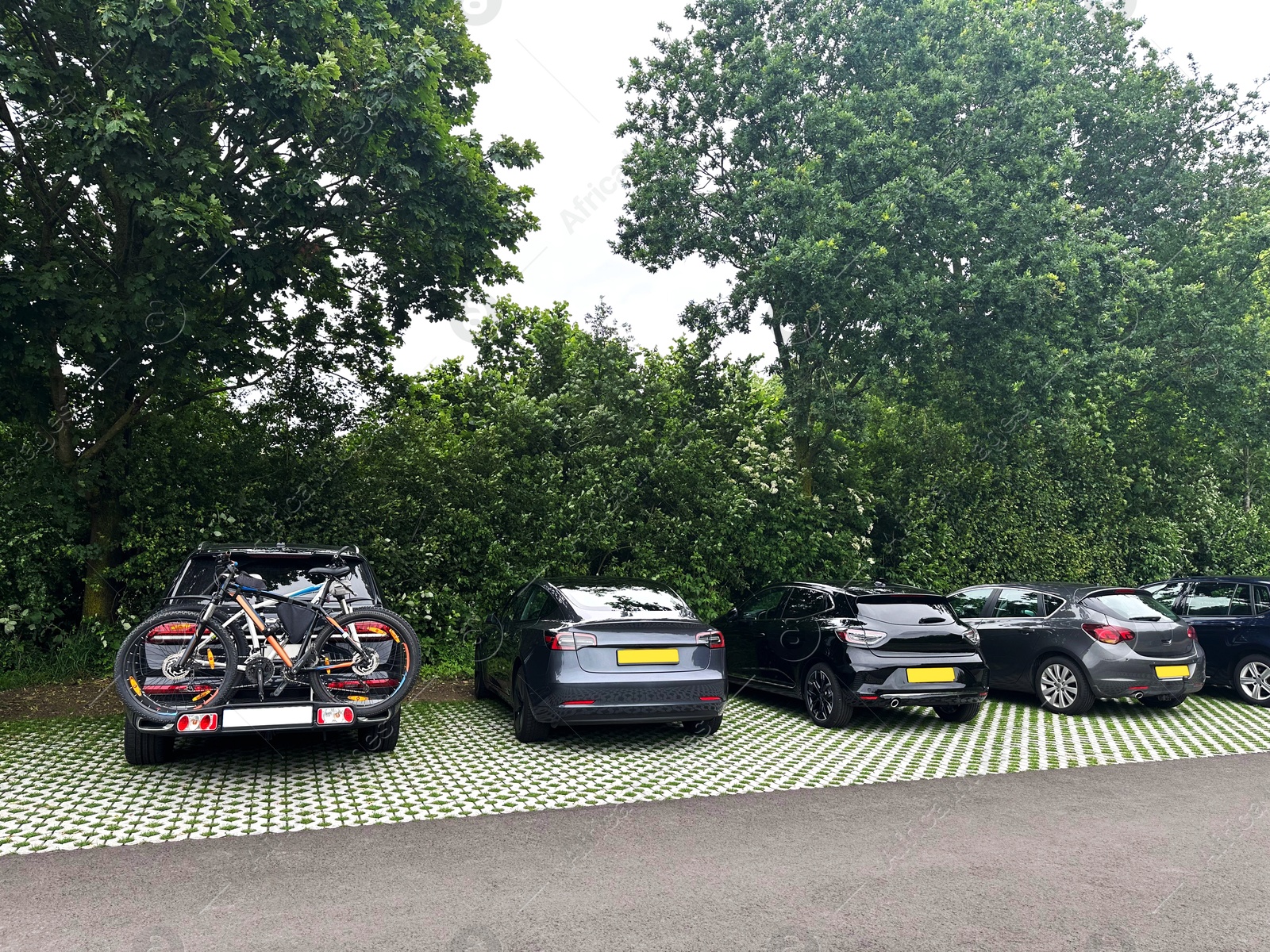 Photo of View of parked cars and trees outdoors