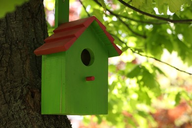 Photo of Green bird house on tree trunk outdoors