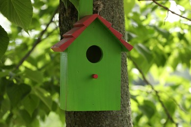 Photo of Green bird house on tree trunk outdoors
