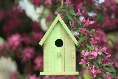 Wooden bird house on blossoming tree outdoors