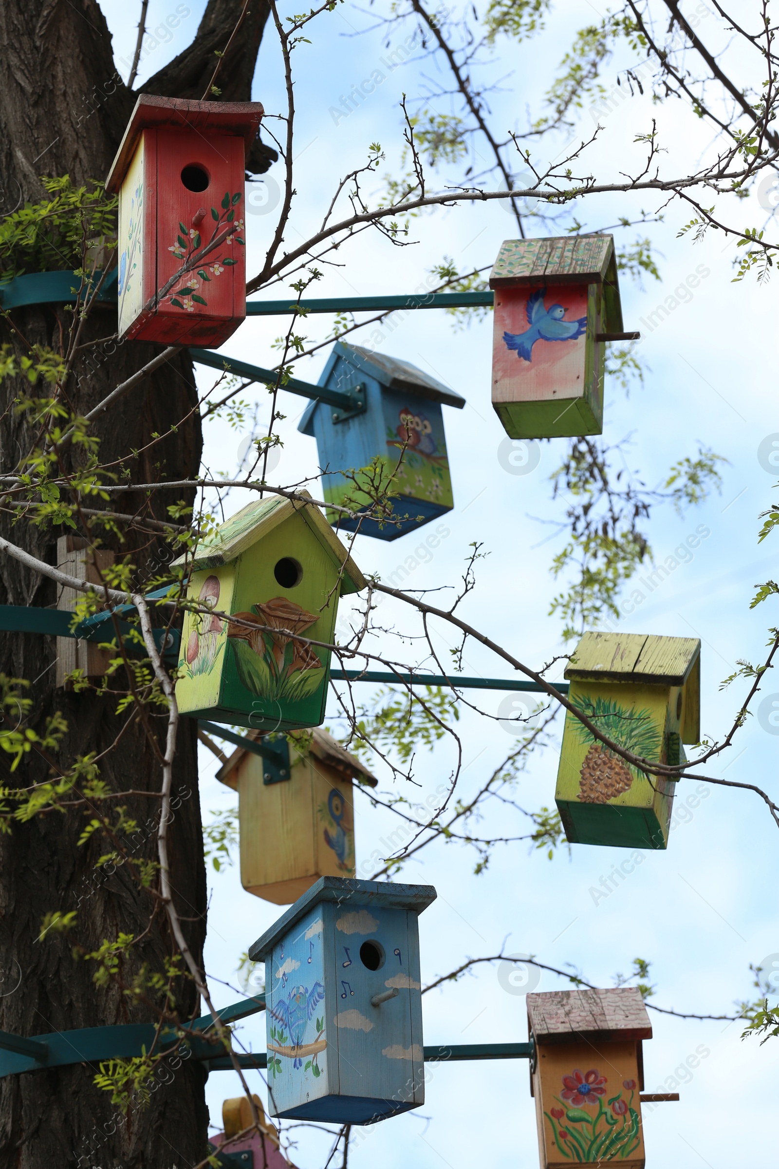 Photo of Lots of colorful wooden bird houses on tree outdoors