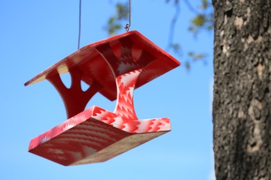 Photo of Color handmade bird feeder hanging outdoors on sunny day