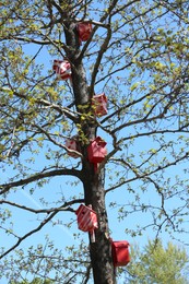 Red and white bird houses on tree outdoors