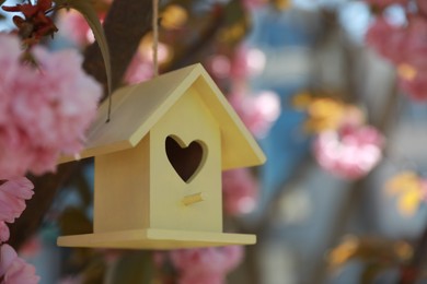 Photo of Yellow bird house with heart shaped hole hanging on  tree outdoors. Space for text