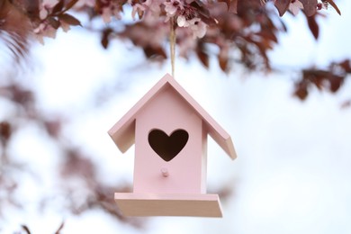 Photo of Pink bird house with heart shaped hole hanging from tree branch outdoors