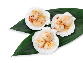 Photo of Raw scallops with spices, lemon zest and shells isolated on white, top view