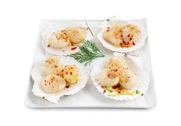 Raw scallops with spices, lemon zest, dill and shells isolated on white