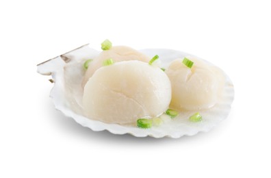 Raw scallops with green onion and shell isolated on white