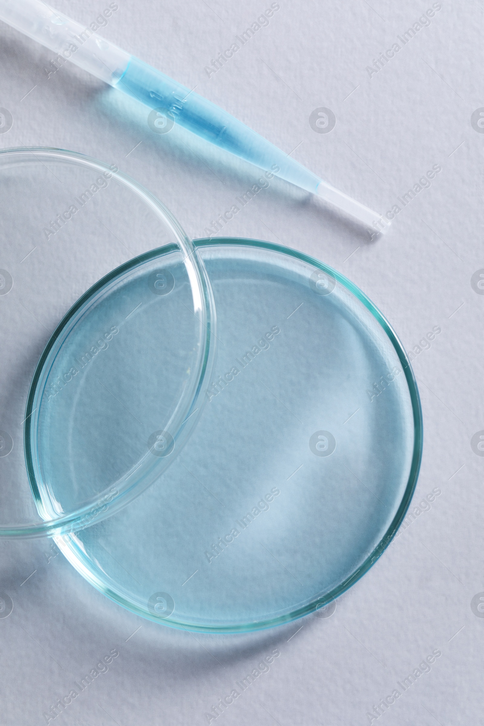 Photo of Transfer pipette and petri dish on white background, top view